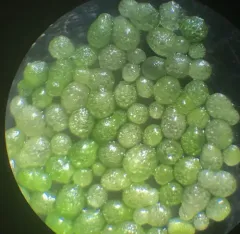 Columbian Watermeal thumbnail 2
