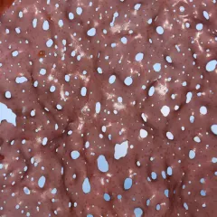 red eyelet silk thumbnail 1