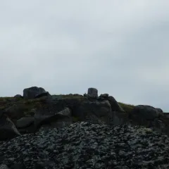 Hoary Marmot thumbnail 2