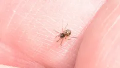Common Ground-Weaver thumbnail 1