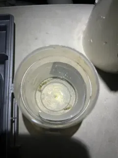 Great Lakes Opossum Shrimp thumbnail 2