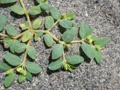 Contura Creek Sandmat thumbnail 3