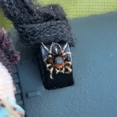 Habronattus waughi thumbnail 3