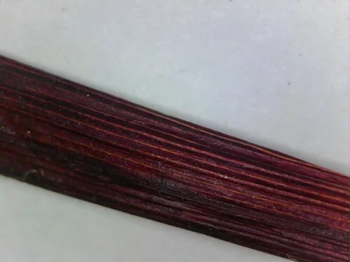 Lined Sedge