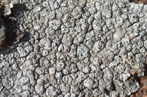 Cracked Granite Crater