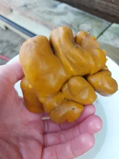 fig sponge thumbnail 2