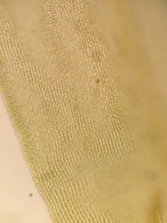 Racomitrium molle thumbnail 3