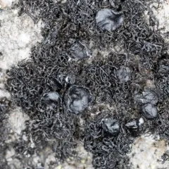 coarse rockwool thumbnail 4
