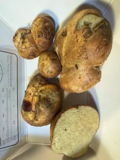 Rhizopogon pseudoroseolus thumbnail 1