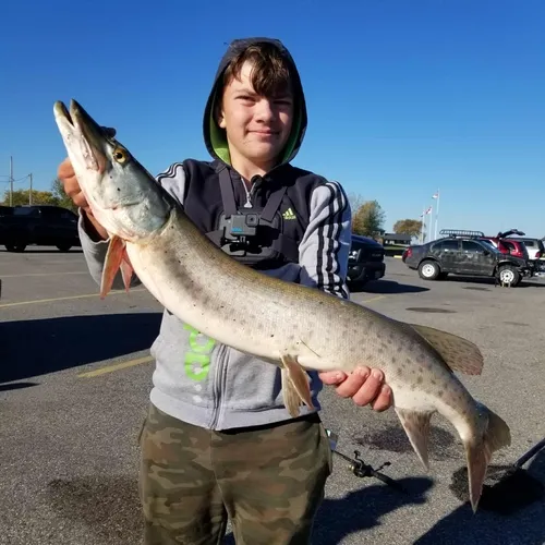 Muskellunge