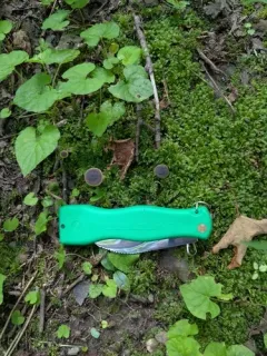 Nitrous Waxcap thumbnail 2