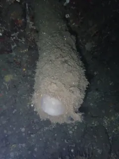 Boot Sponge thumbnail 4