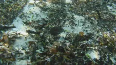 Permit thumbnail 2