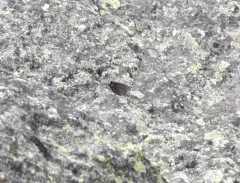 Magdalena Alpine thumbnail 1