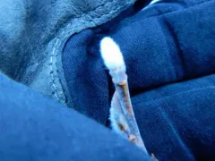 white willow thumbnail 3