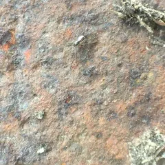Filmy Dome Spider thumbnail 2