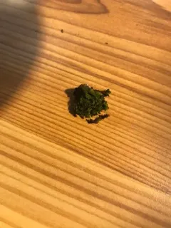 Showy Bristle Moss thumbnail 2