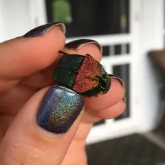 Rainbow Scarab thumbnail 3