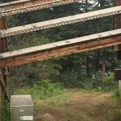 American Marten thumbnail 2