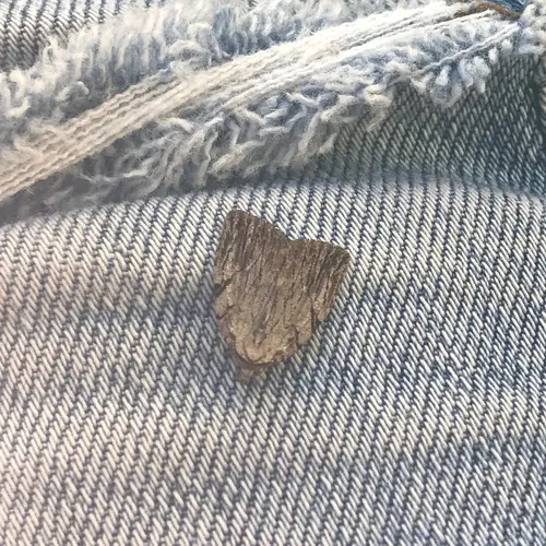 Three-lined Balsa Moth