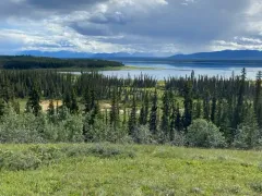 Muskeg Emerald thumbnail 2