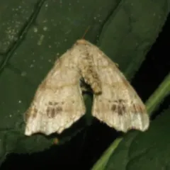 Common Angle thumbnail 1