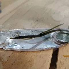Kelp Pipefish thumbnail 2