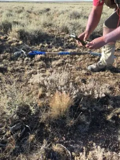 Owyhee Sagebrush thumbnail 1