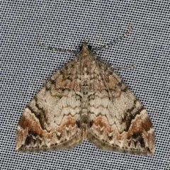 Dark Marbled Carpet thumbnail 3