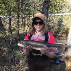 White Sucker thumbnail 3