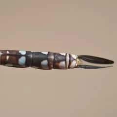 Variable Darner thumbnail 3