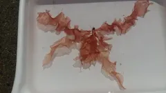 Grinnell's Pink Leaf thumbnail 1