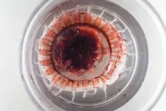 Atolla Jelly thumbnail 2